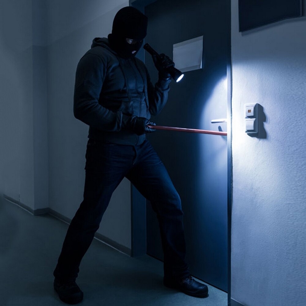 Pea Pod Camera Audio En Video Draagbare Video Camera, Vergadering Leren Video-opname, Geschikt Voor Auto 'S, woningen, En Buiten.