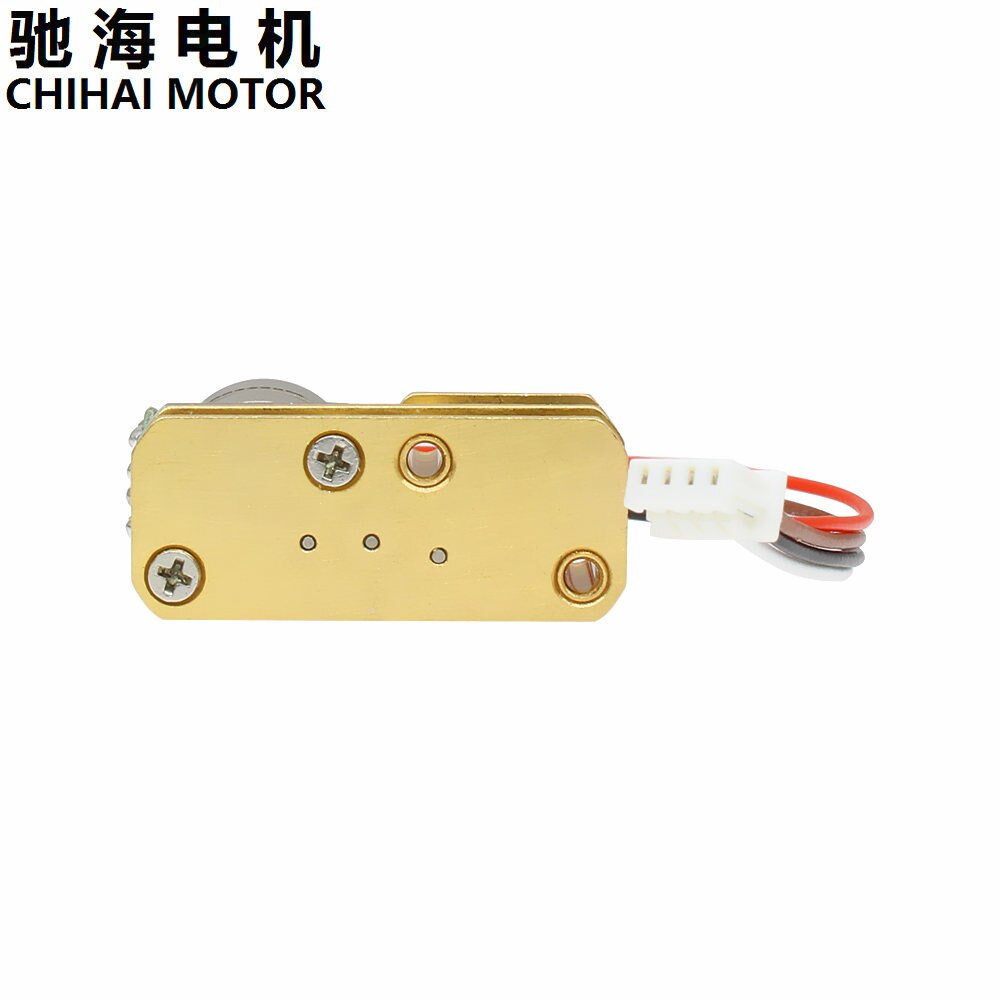 ChiHai Motor CHS-GM1024-10BY 2 phase 4 wire Stepper Gear Motor 39 Ohm DC 12.0V RATIO 500 200 50