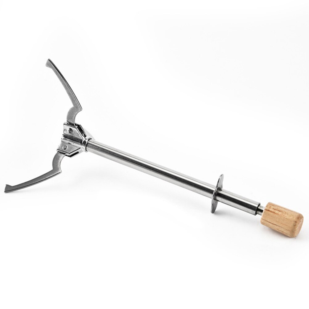 Pinza de hielo multifuncional de acero inoxidable, en forma de triángulo, para comida, Clap, 1 ud., Plata
