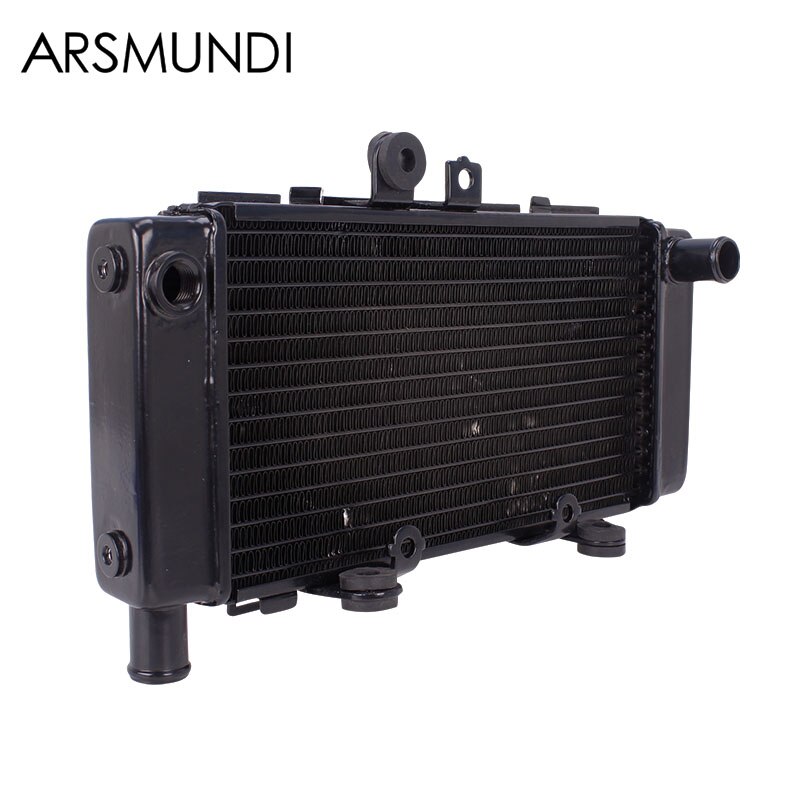 Motorcycle Vervanging Aluminium Radiator Koeler Water Koelsysteem Water Tank Voor Honda CB250 Hornet Hornet250 Kleine Wesp: Radiator