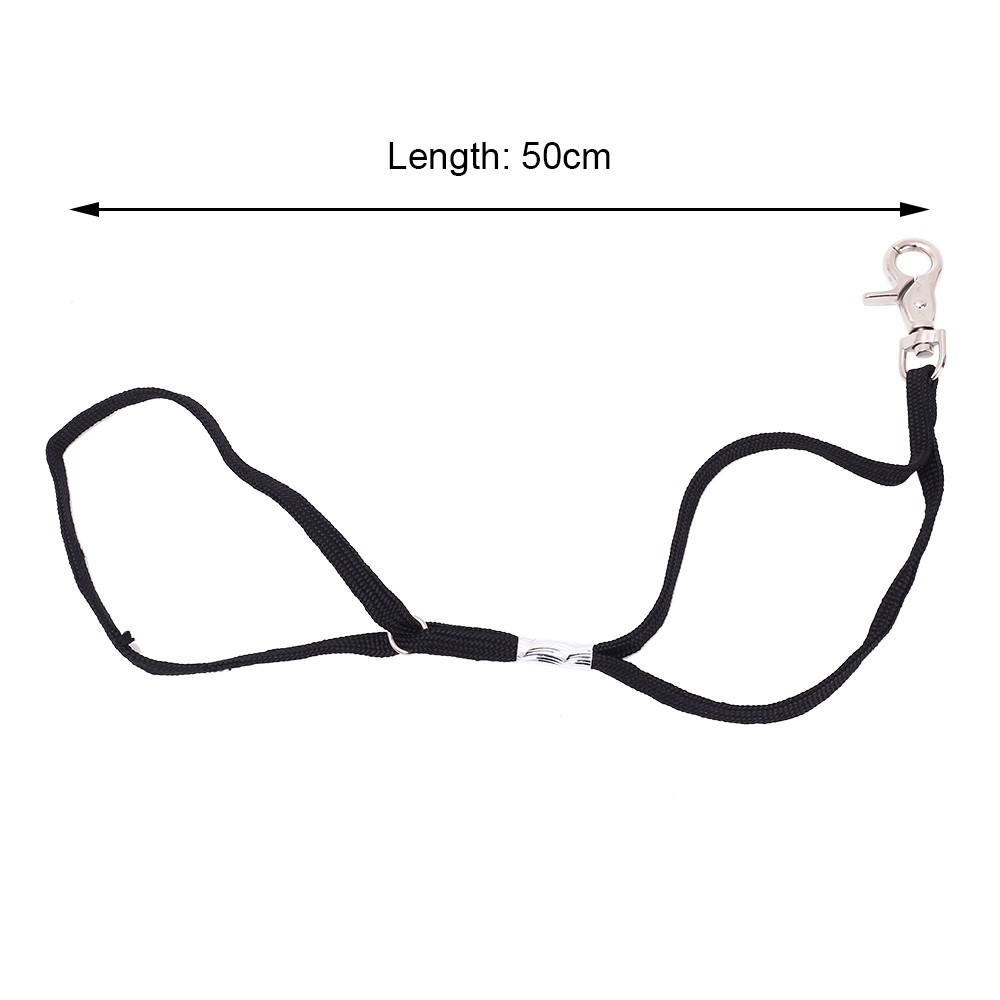 Hond Kat Dier Strop Loop Lock Clip Touw Voor Grooming Tafel Arm Bad Huisdier Grooming Cord Voor Meest Huisdier grooming Tafels