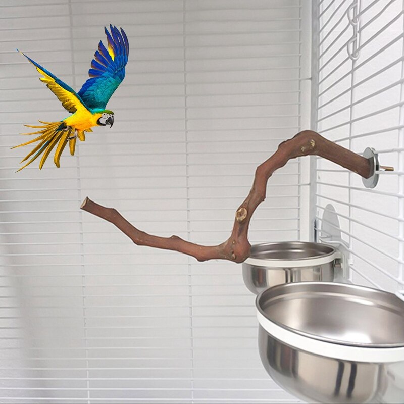 Palo de pie para loros y mascotas, palo de madera de uva salvaje, perchas para periquito, mordedura, garra, juguete de molienda, jaula de pájaros, accesorios, gancho de joyería