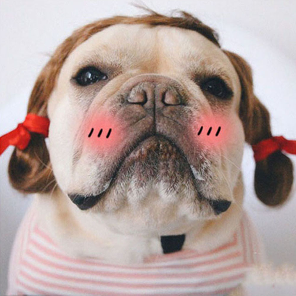 Perruque pour chat et chien, accessoires de Cosplay pour animaux de compagnie, ensemble de cheveux pour chiot, accessoires de photographie amusants, accessoires de tête pour farces