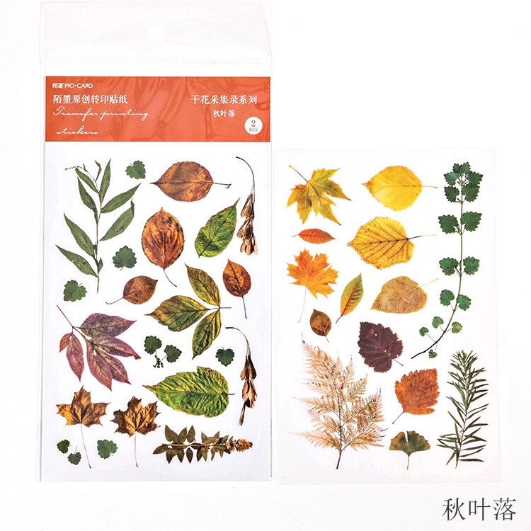 2 pcs/pack Natural Iris Daisy Flower Transfer Printing Stickers Transparent PVC Material Flowers Leaves Green Plants Stickers: 6