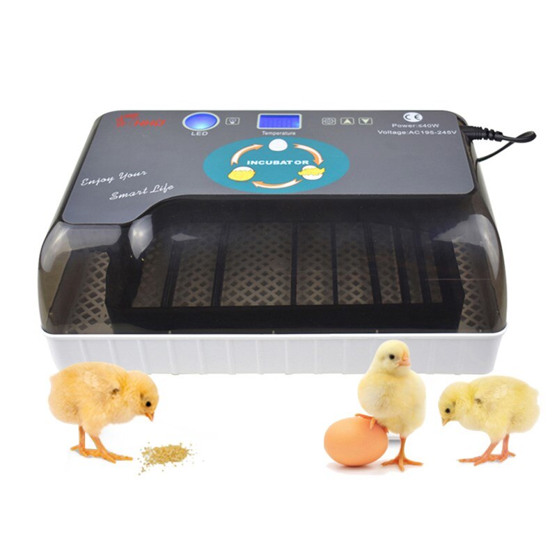 Full Automatic Incubator Brooder Farm Hatchery Machine 12 Egg Hatcher Chicken Automatic Egg Incubator Goose Bird Quail Brooder