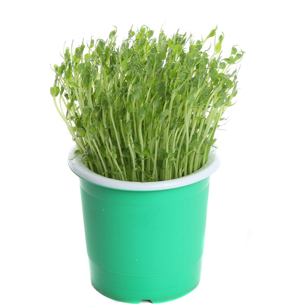 Household Bean Sprouts Making Pot Bean Sprouts Cans Sprouts Planting Breeding Barrels VJ