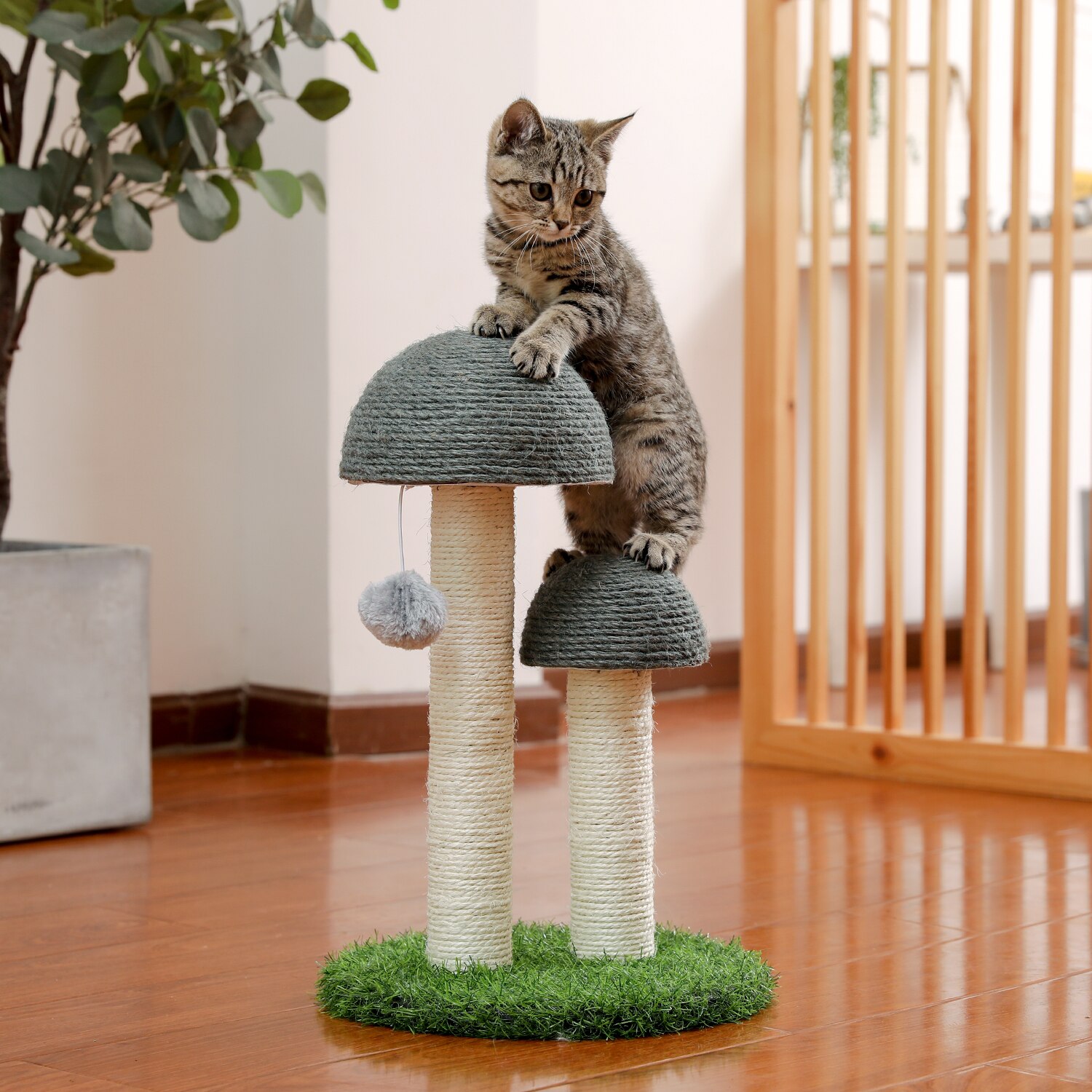 Cactus Kat Boom Met Hangmat Paddestoel Styling Katten Boom Condo Vol Gewikkeld Sisal Krabpaal Voor Katten Kitten Klim Snelle