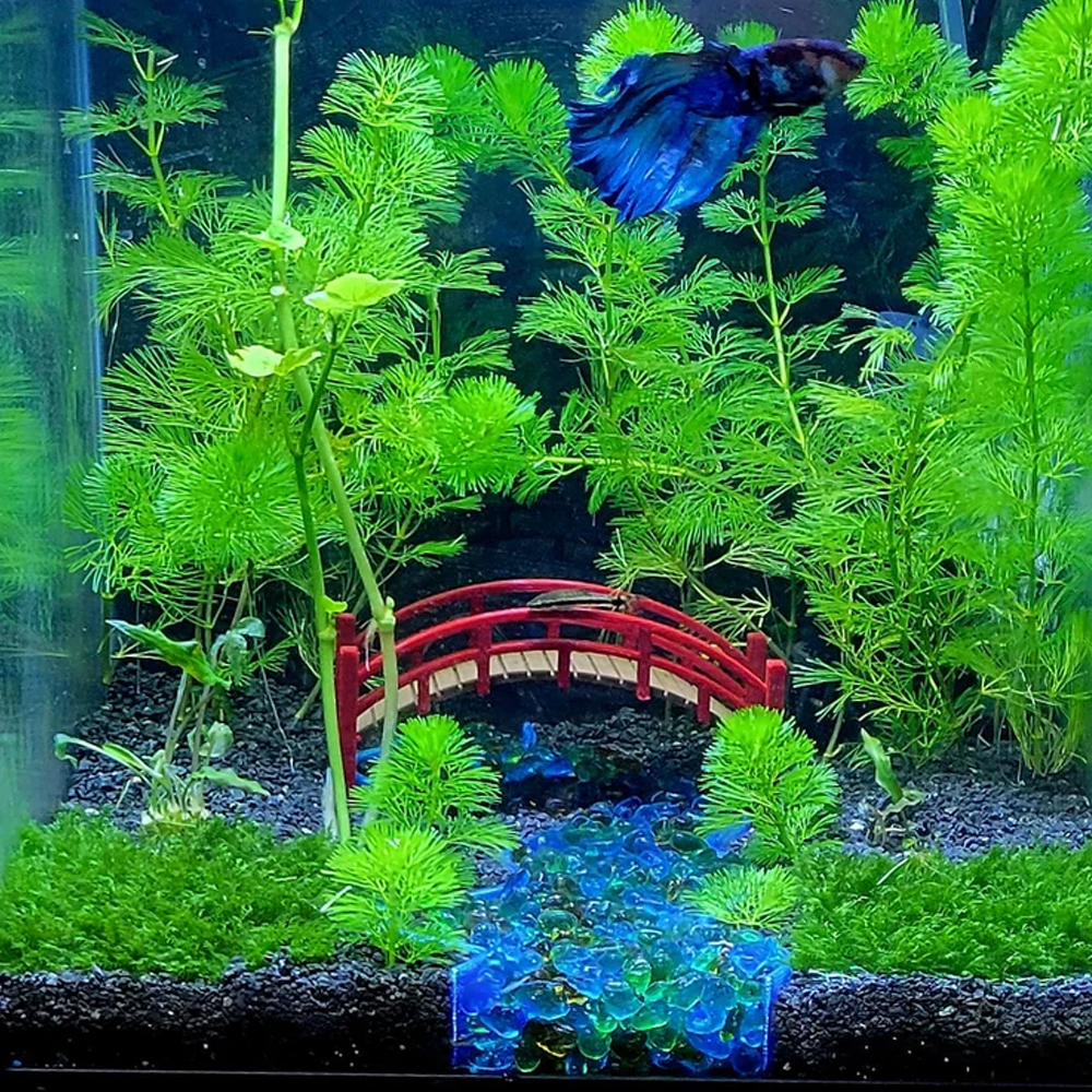 Divisor de grava para pecera, decoración para acuarios y terrarios, cueva de acuario