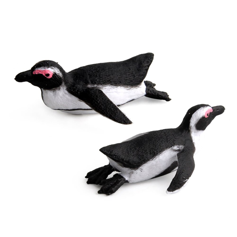 Simulazione Pinguino Modello Animale Marino Figurine Per Bambini Scrivania Decorazione Giocattolo Educativo