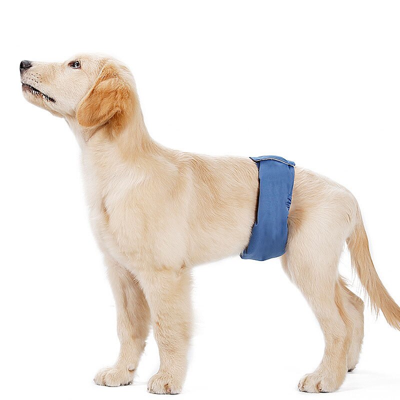 Hund Windel Shorts für Große Hund männlichen Sanitär Haustier Großen Hund Physiologischen Hosen Höschen männlichen Hund Katze Windeln Unterwäsche Briefs