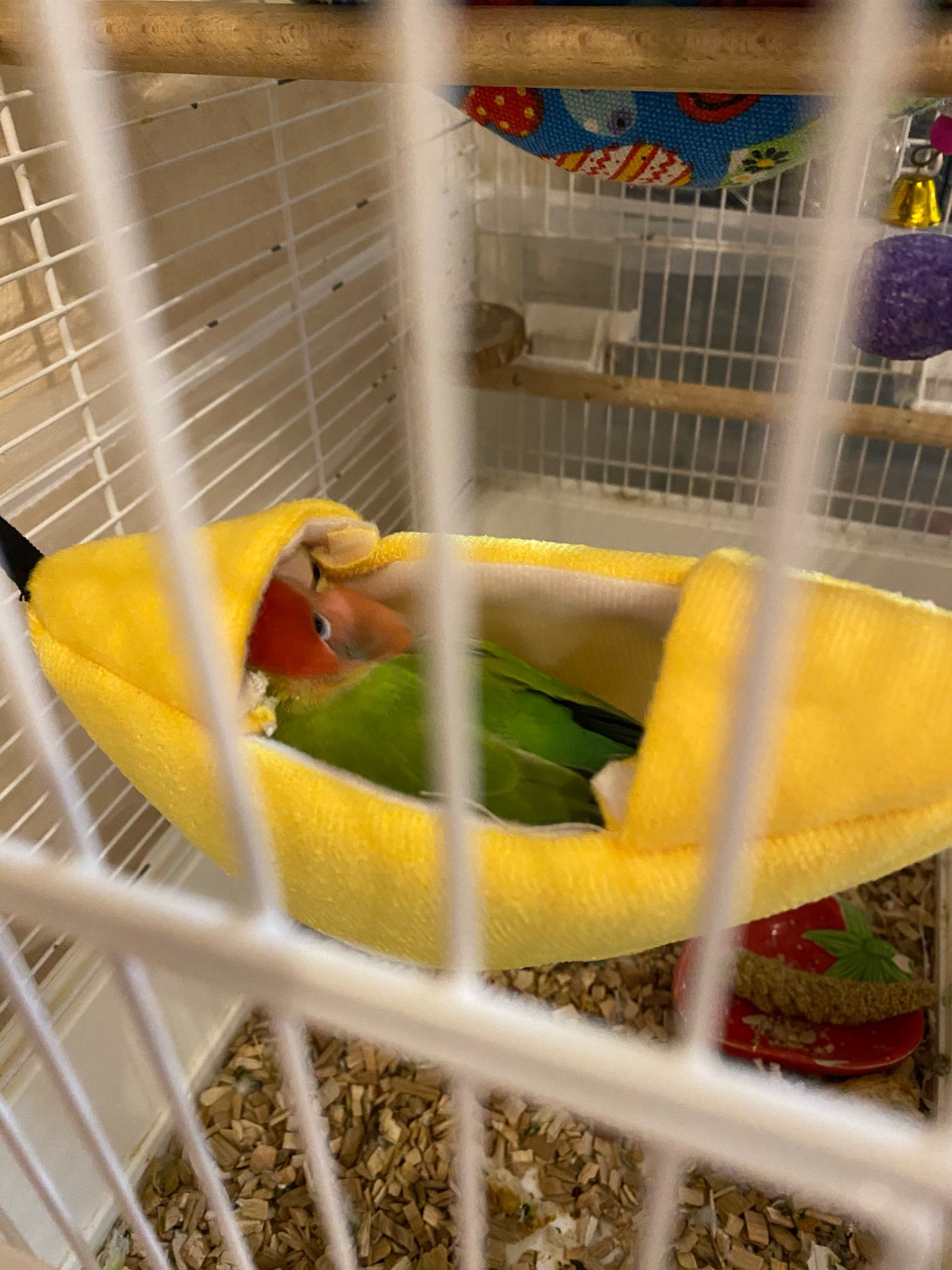 Mały dom dla zwierząt w kształcie łódki papuga ptak szczur hamak huśtawka wiszące łóżka dom gniazdo dla chomika materiały dla ptasie gniazdo akcesoria