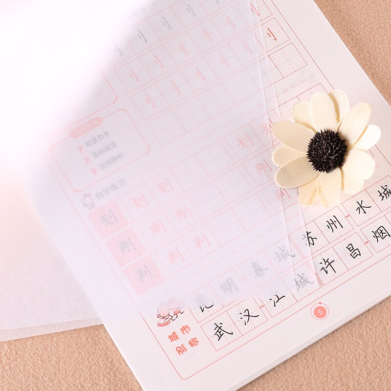 Writing Chinese Copybook Kaishu Basic Exercises for Introductory Regular Script Radicals to Learning Chinese Calligraphy Modian