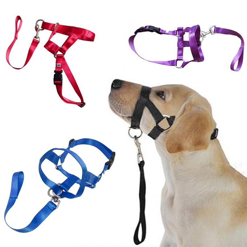 Collar de cabeza de entrenamiento con cuello Halter para perro, arnés de poliéster con cuello Halter, , ideal para cualquier temporada