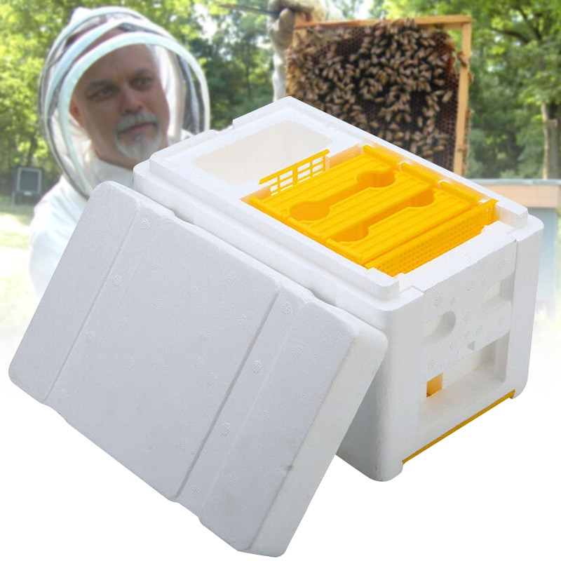 Nueva caja de cría de apicultura Queen, suministros de apicultura, equipo de espuma de colmena para la cosecha de abejas