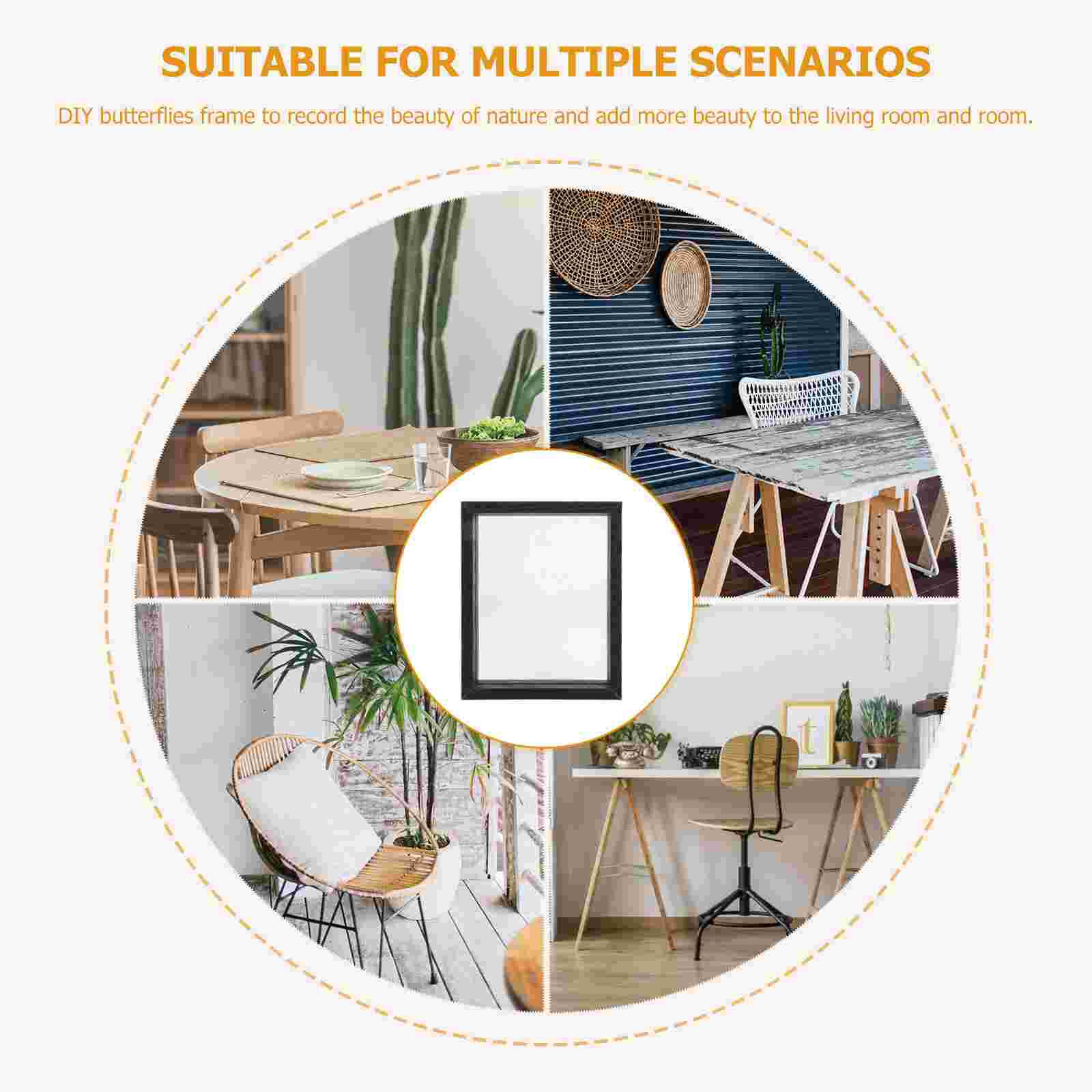 Insect Specimen Display Case DIY Butterflies Ornament Dust-Proof Plant Box