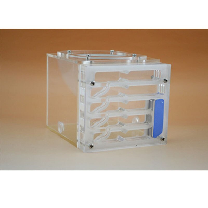 Moisture big space Bionic Plane Acrylic Ant Nest