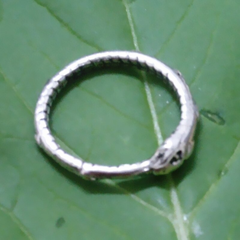 Retail Ouroboros ring Charmante oude zilveren ring herstellen van oude manieren kerstcadeaus