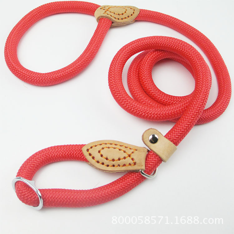 Laisse en Nylon pour chien 8/14mm, corde tressée, robuste, réglable, accessoire d'entraînement pour animaux de compagnie, pour petits et grands chiots: XS / Rouge