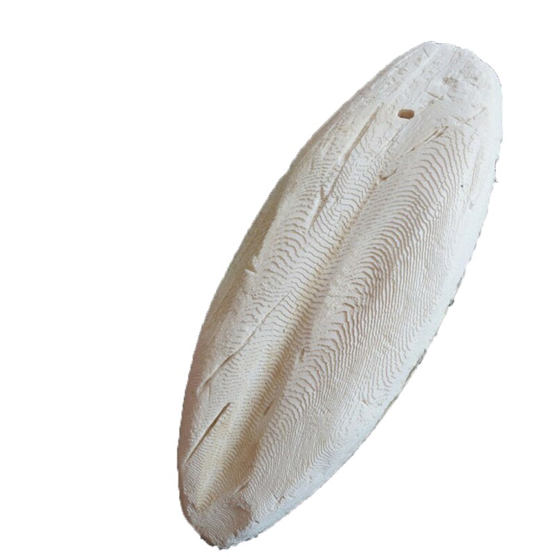 1 /2 Pcs Cuttle Fish Cuttlefish Bone For Pet Budgie Birds Reptiles Tortoise Food
