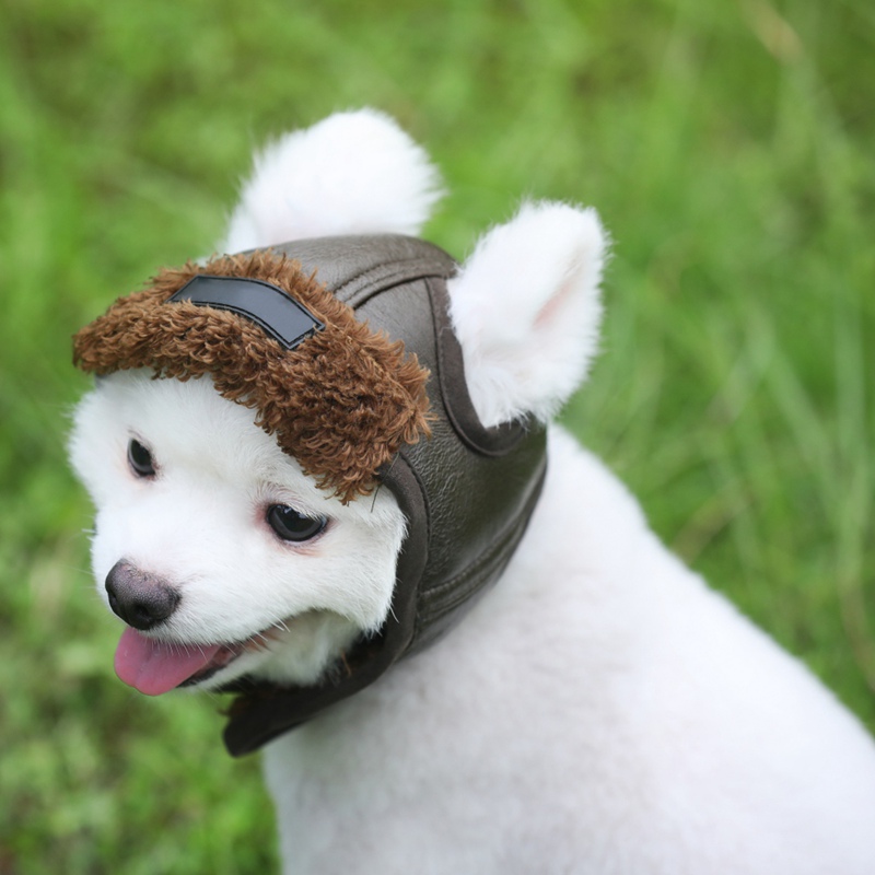 Zwierzęta domowe są czapka dla psa zima ciepła czapka pies kot nakrycia głowy Aviator akcesoria Cosplay na zewnątrz ochrona przed zimnem czapka