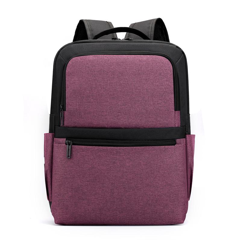 15 inch laptop rugzak voor mannen, antidiefstal reistas, waterdichte rugzak voor mannen, collegerugzak, schooltas voor jongens en meisjes: Paars