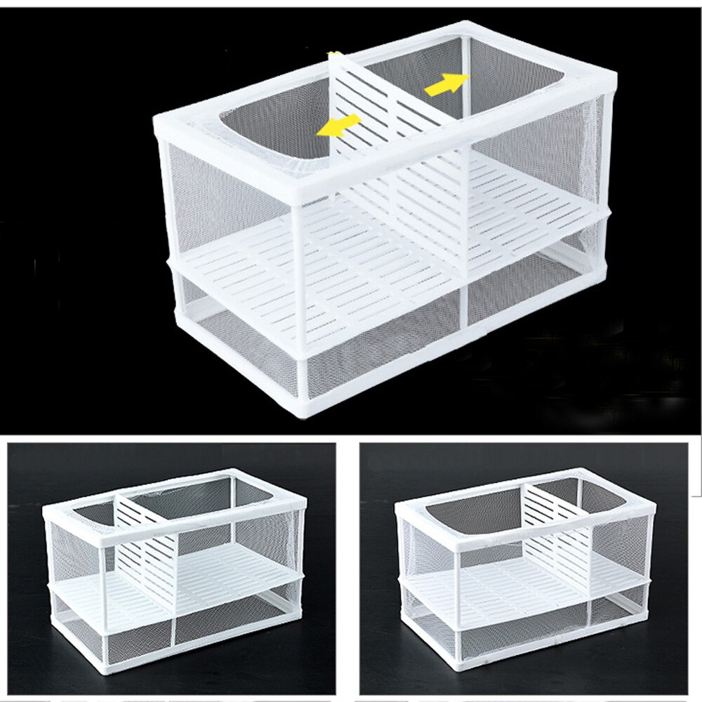 Boîte d'isolation pour poissons d'aquarium, petit bol pour poissons d'élevage filet d'isolation pour bébés, incubateur pour Betta