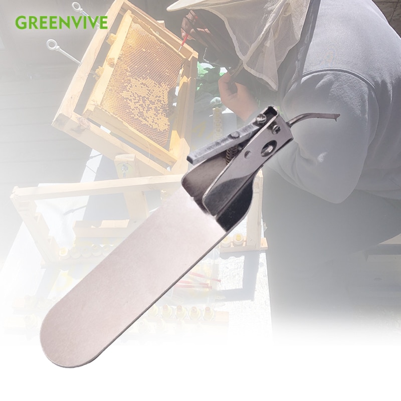 Greenvive Bijenteelt Enten Tool Voor Bijenkoningin Larven Door Overbrengen Met Spare Tong Master Enten Tool
