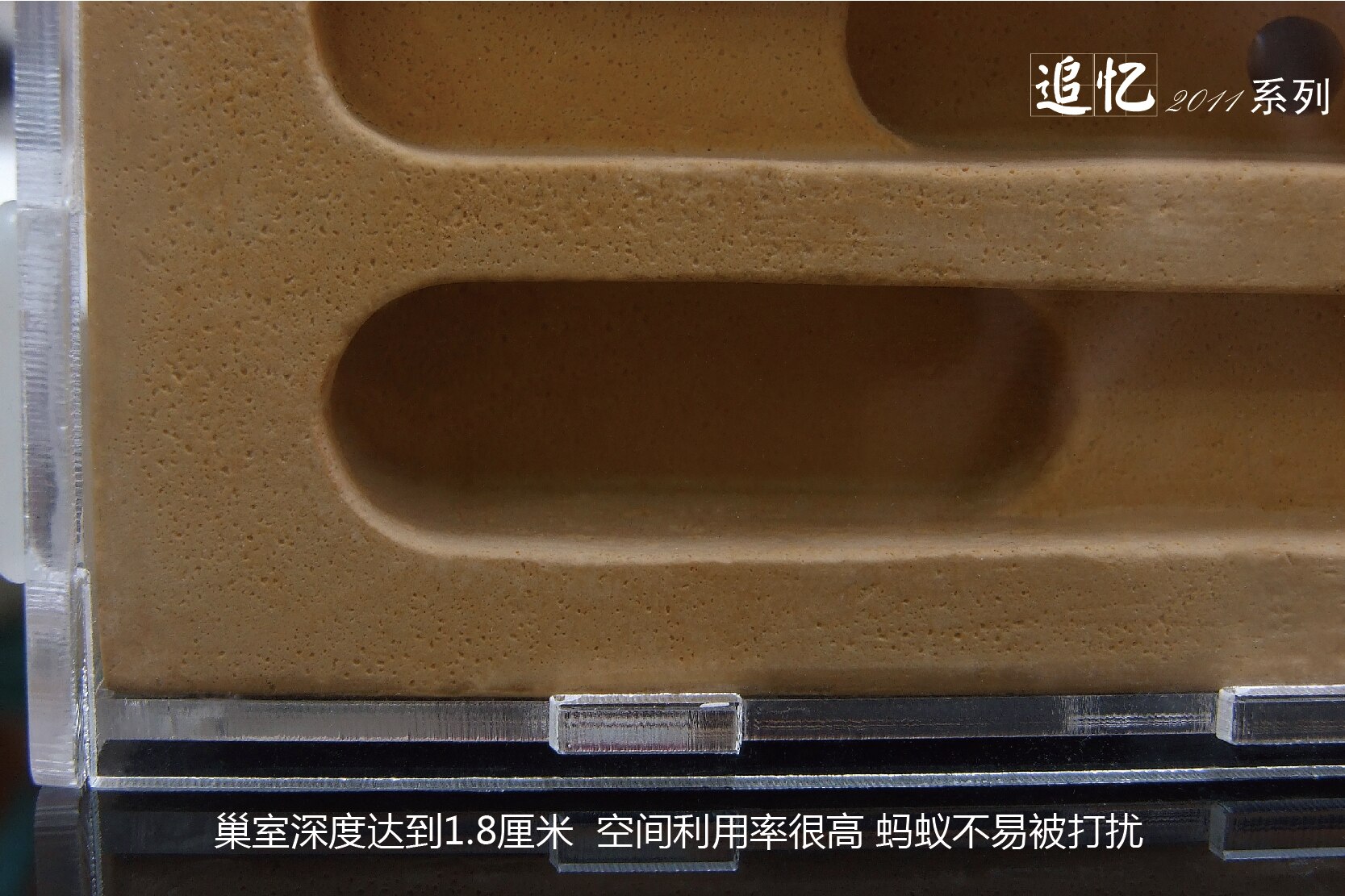 1 kpl lemmikkimuurahainen / akryylipesä betonipalautus irrotettava stereoskooppinen vettä imevä keskikokoinen maatila