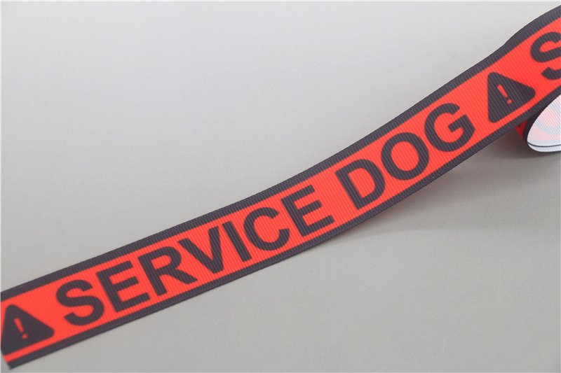 DUWES 50 metri non servizio di terapia per animali domestici canna da lavoro Stampato Nastro in gros-grano Accessorio Decorazione FAI DA TE tutto'ingrosso OEM D1477: Argento antico / S