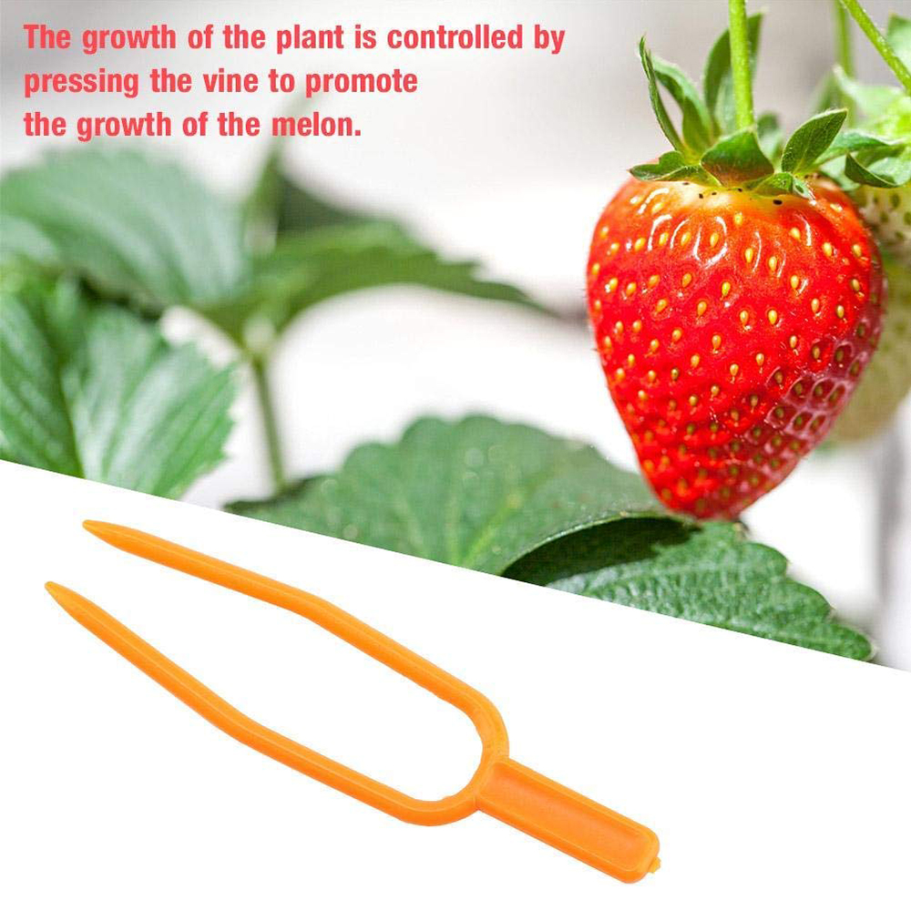 Tuingereedschap 50Pc Plastic Plant Clips Uitlopers Bevestiging Bevestiging Armatuur Klem Aardbei Vork Landbouw Clip GT034