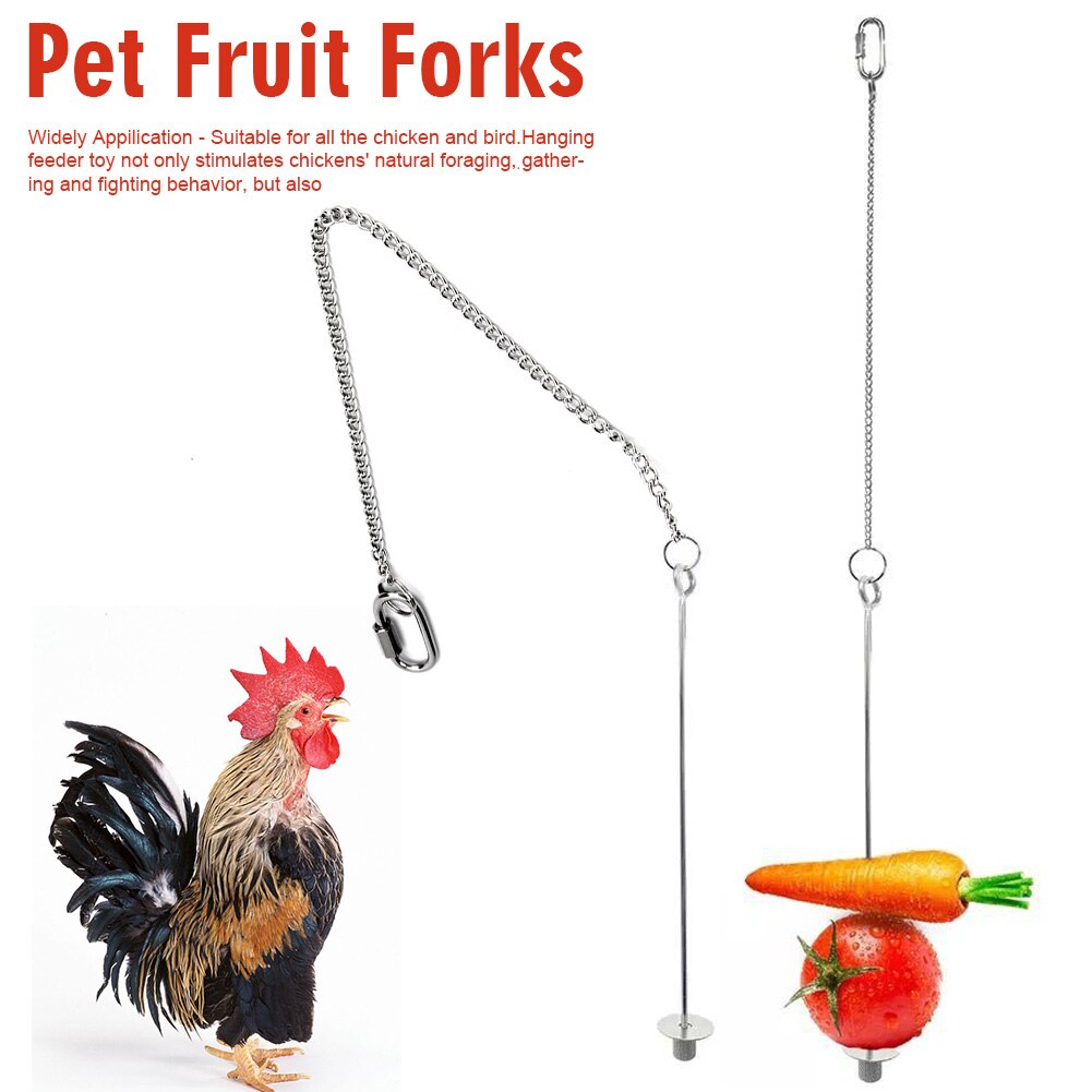 2pcs Parrots Cage Accessories Food Holder Hanging Feeder Toy Hens Chicken Fruit Veggies Budgie Parakeet Skewer Stainless Steel