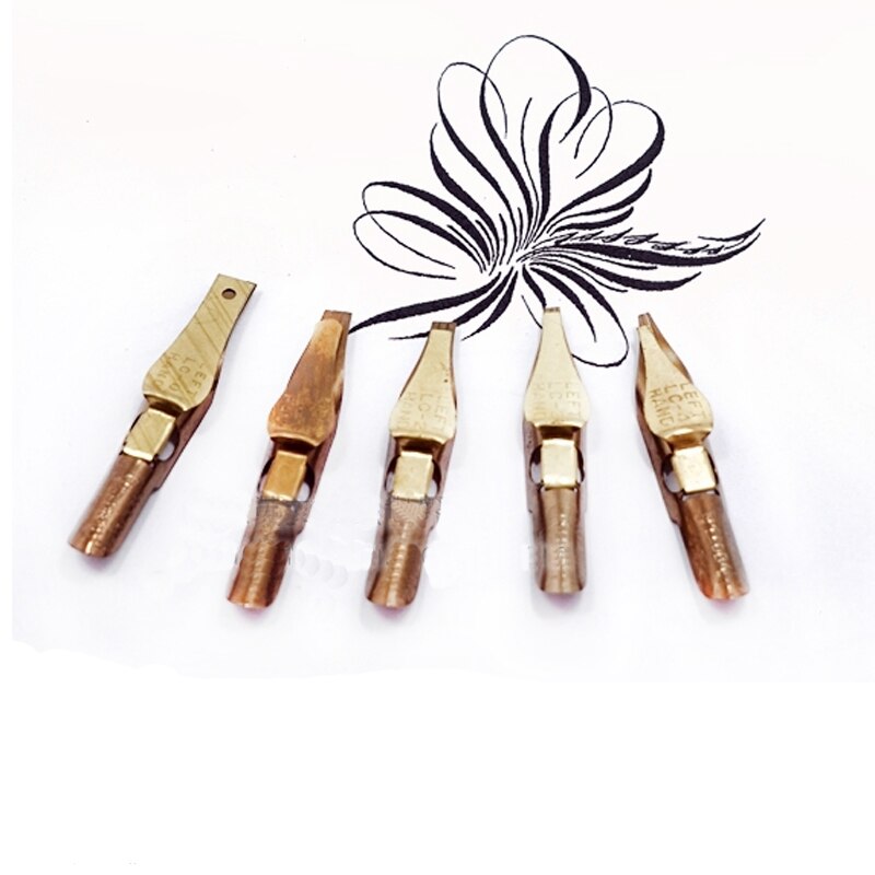 Lote de 5 unidades de plumas para zurdos, caligrafía oblicua inglesa, Copperplate, escritura, pluma de inmersión antigua
