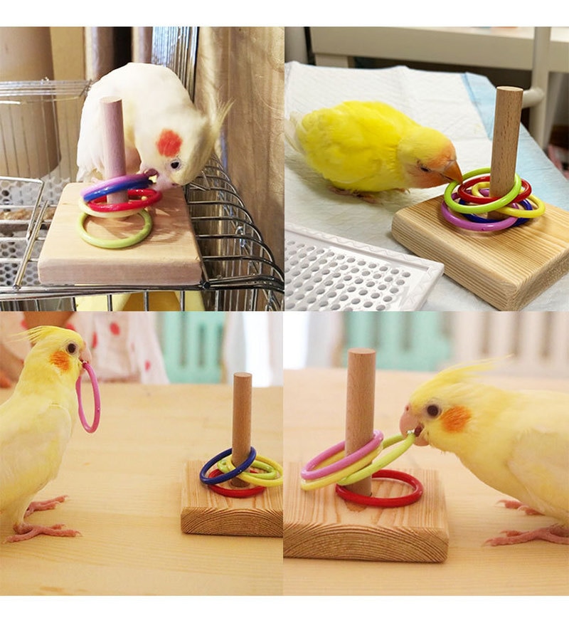Bird Toys Bird Trick Tabletop Toys for Education Play Gym Playground Activity