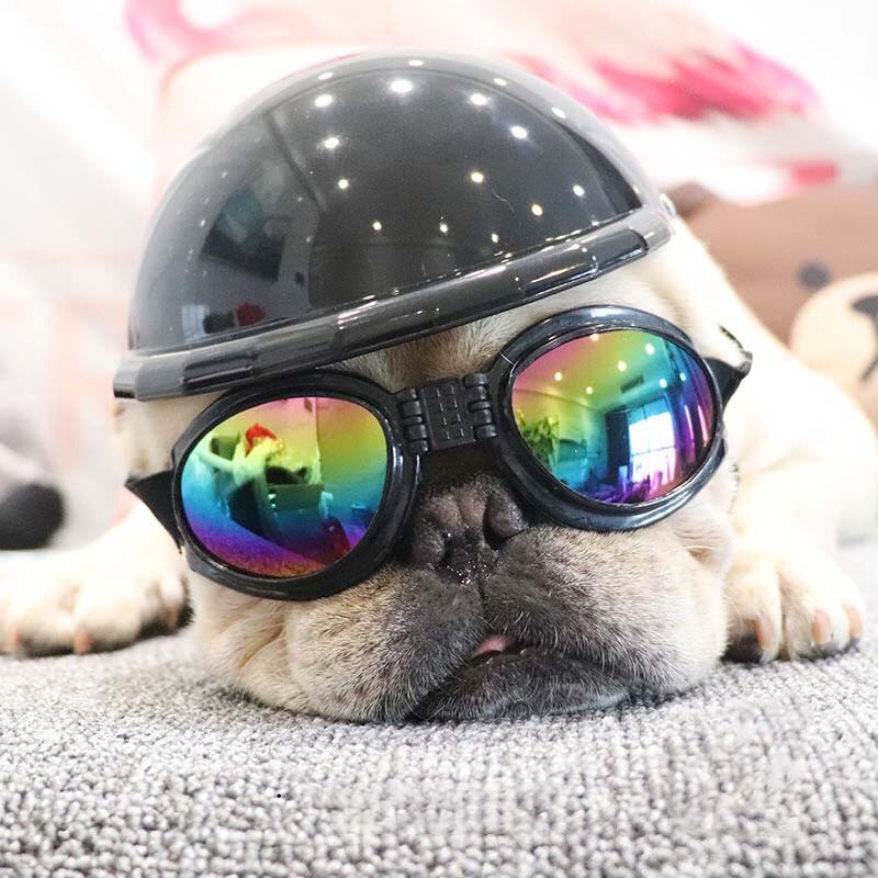 Valp hund hatt hundhjälmar små husdjur coola plast utomhus kepsar för motorcyklar foto rekvisita husdjur tillbehör ridkeps