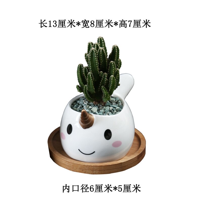 Narwal keramische plantenbak eenhoorn walvis dier vetplant container groene plantenbakken kleine bonsai potten huisdecoratie