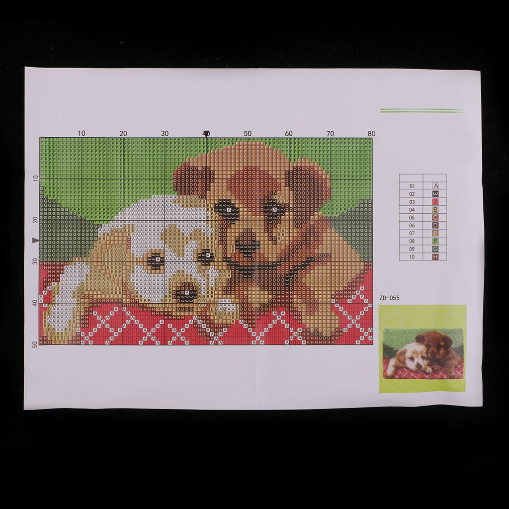 DIY Latch Hook Kit Carpet Rug Making Kit handicraft Needle Craft home decoration for Beginners Adults 20x12inch