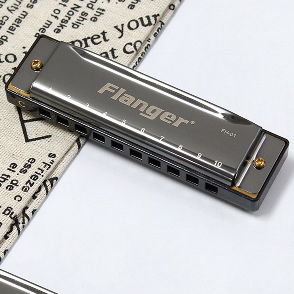 Blues Instrument in C 10 Holes Harmonica Exquisite Music Instrument for Beginner Students Kids Musicians (Black)