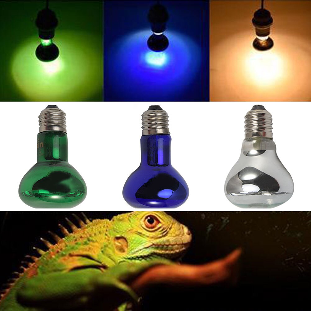 25W/50W/75W/100W Koesteren Spotlight E27 Reptile Heat Lamp Lamp Spot Verlichting dieren Warm Thermische Reptile Heat Lamp