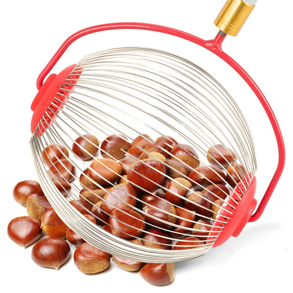 Household Nut Gatherer Fruit Collector Rolling Harvester Picker for Picking Up chestnut lemon pecan acorn walnut gardening tool