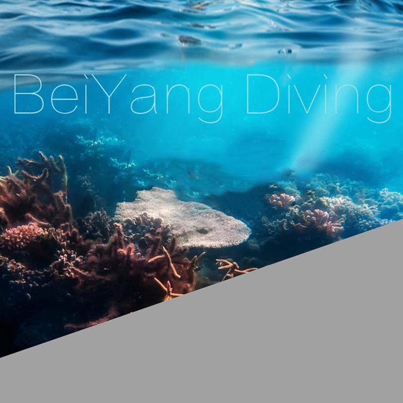 2nd atemregler für unterwassertauchen, oktopus-atemregler, mundstück, schlauch, zubehör