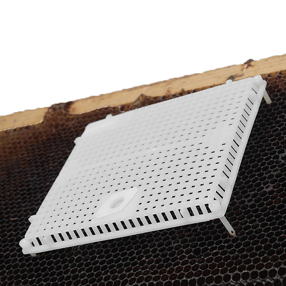 1PCS Intrudction Frame Kooi Om Kolonie Druk In Kam Grote Ruimte Val Koningin Tegen Isoleren Plastic Bijenteelt tool Levert