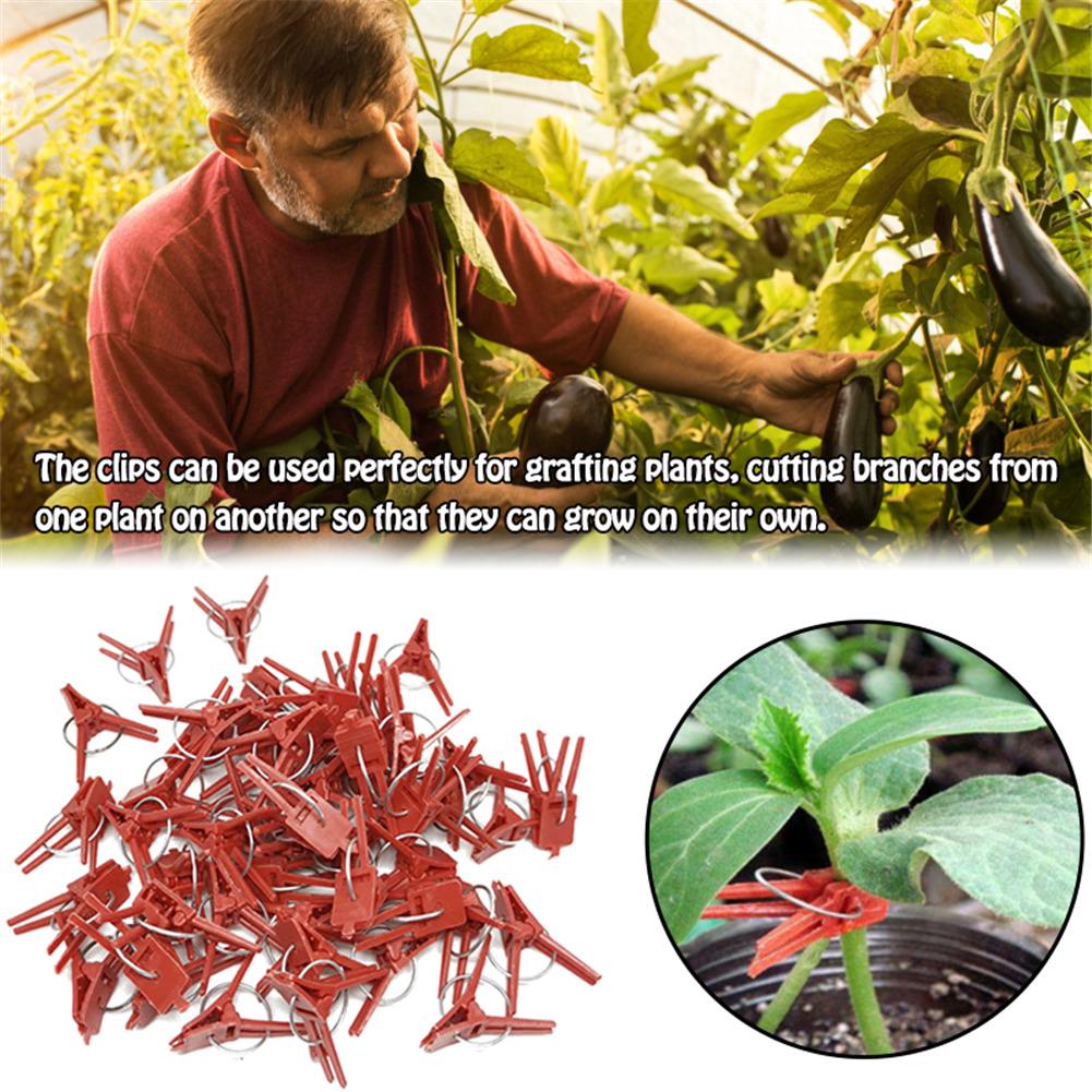 100 stk plantepodningsklemme plast havearbejde værktøj til agurk aubergine vandmelon, rund mund flad mund anti-fald klemme
