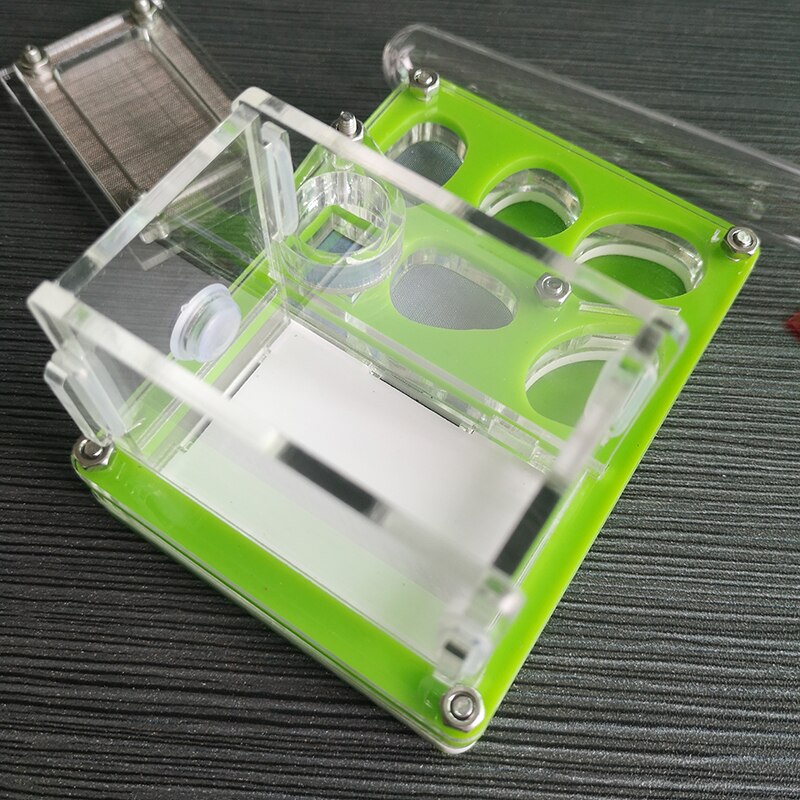 Green Plane Ant Nest Acrylic Ant Small Community Terrarium Ants Farm House With Water Tower