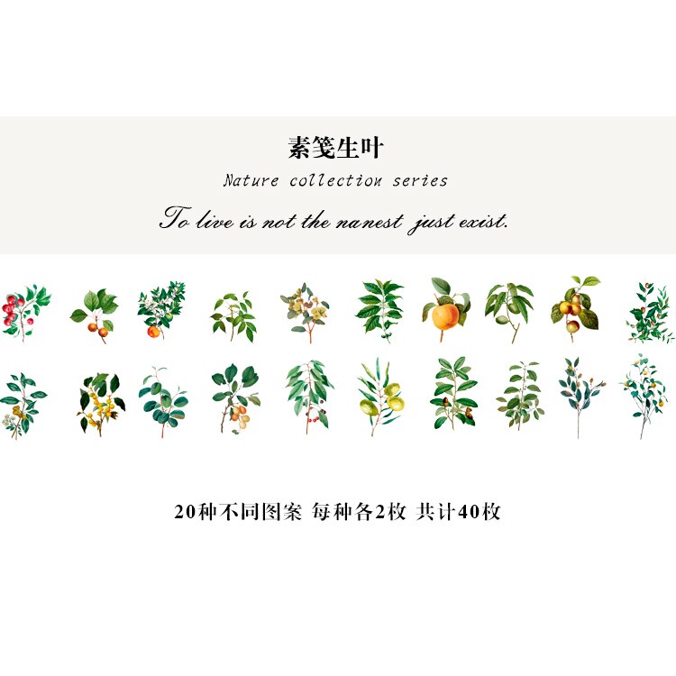 40Pcs Natuur Fotoboek Huisdier Grote Deco Stickers Plant Bloem Blad Transparante Kogel Journaling Accessoires Esthetische Stickers: E