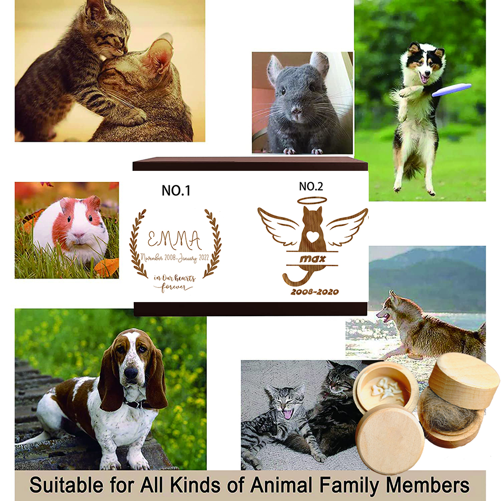 Gepersonaliseerde Gegraveerde Houten Tand Opbergdoos Custom Naam Gedenkteken Doos Huisdier Hond Kat Bont Keepsake Box Verlies Van Huisdier Gedenkteken