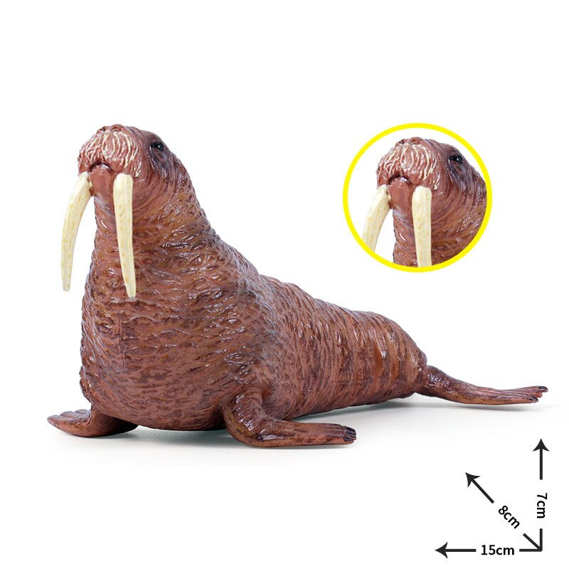 15*8*7CM Children simulation marine wild animal plastic model solid walrus static animal model toy decoration: Default Title