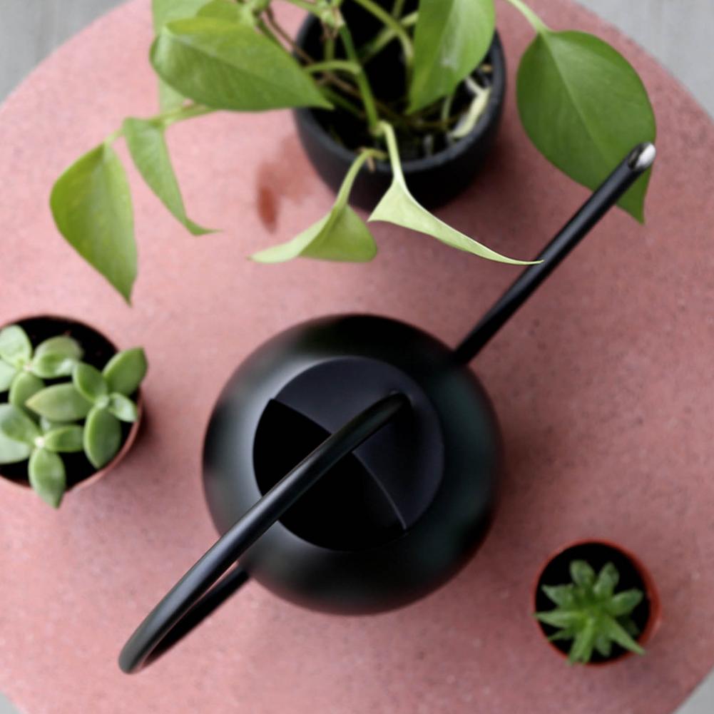 Waterer Metal Watering Can Long Spout Watering Jug Small Plant 100% Brand And High Qualitydurable And Comfortable To Use