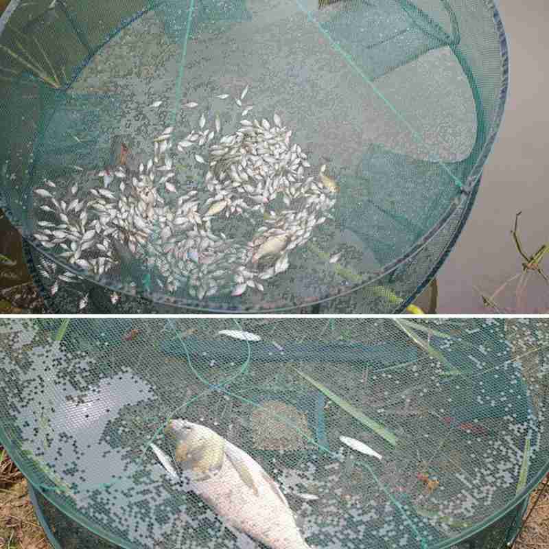 Automatic Fishing Net Round Shape Trap Cage Open For Crab Net Easy Fishing Lobster Crayfish Use X4B3