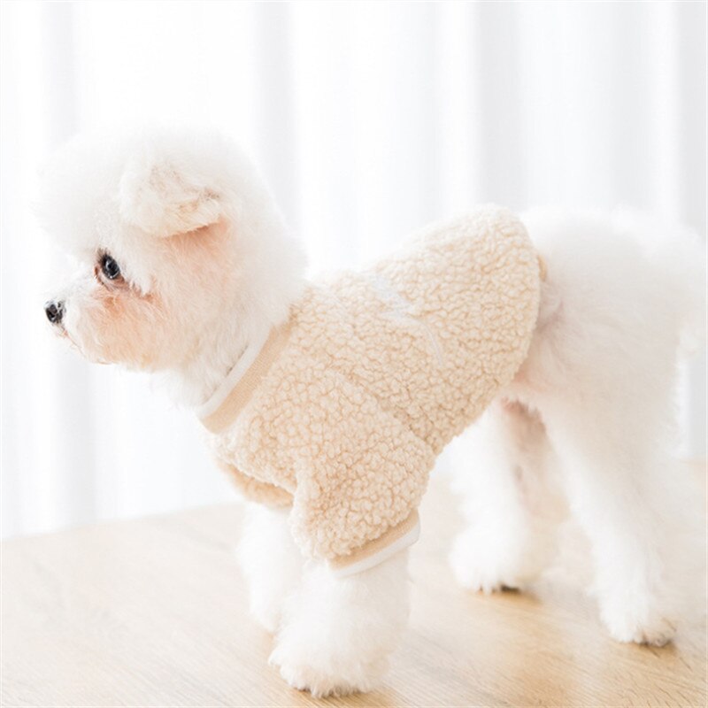 Kat Hond Hoodie Kleine Hond Kleding Winter Huisdier Kleding Puppy Outfit Chihuahua Maltese Yorkshike Terrier Poedel Pommeren Kostuum