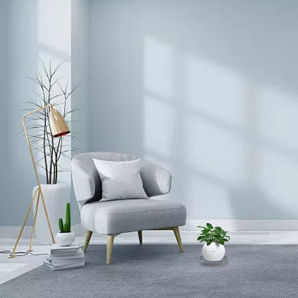 Mobiele Plant Caddy Roller Wielen Trolley Container Planter Caddies Voor Outdoor Indoor: Grey 4 Wheels S